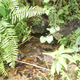 A pond constructed by pushing debris to the edges of a depression, creating a dam.